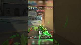 EZZ C Retake With SKYE| Best Initiator ever #valorant #skyevalorant #havenvalorant  #valorantshorts