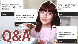 Why don't I have more rats? | Q&A