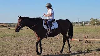 Mila takes on Aero horseback riding