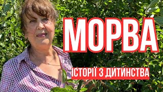 Наталя Фаліон/Лісапетний батальйон - Морва/історії з дитинства