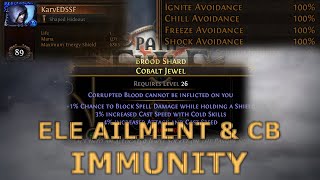 [Path of Exile] Ailment & Corrupting Blood Immunity | 3.10 Delirium HC SSF #2