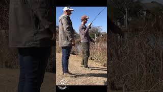 Rainbow Trout on fly  #fishing #flyfishing #trout #africa #explore #adventure