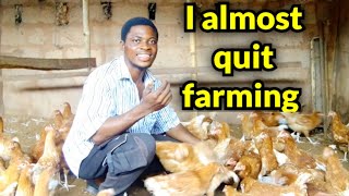 Learn from this video | I Almost Quited As a first time farmer.