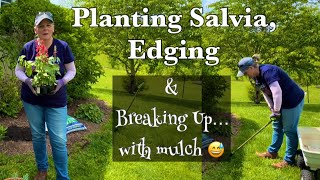 Planting Annual Salvia // Edging the Bed & Breaking Up With Mulch! ❌🙅🏼‍♀️