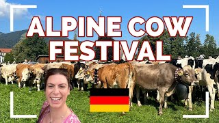 EPIC Alpine COW Festival - Viehscheid Pfronten BAVARIA