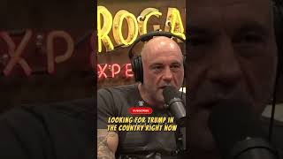 K*LL Teams After Trump - Joe Rogan