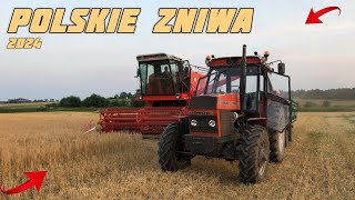 🇵🇱❤️Polskie żniwa 2024 z czerwonym bizonkiem🇵🇱❤️piękny zachód słońca z Ursusem 1014🚜🇵🇱