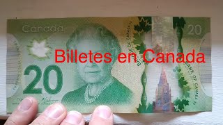 Como son los billetes Canadienses