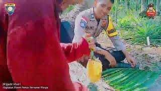 Polsek Rangsang Kegiatan Panen Nenas Bersama Warga Oleh Bhabinkamtibmas Brigadir Khairi.