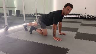 Core development after injury with the Plank knee pull