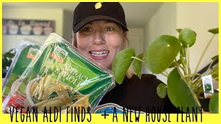 NEW VEGAN ALDI FINDS + ITEMS FROM MY LOCAL GROCERY STORE