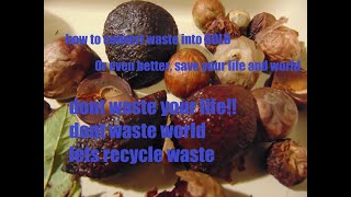 Recycling Avocado Waste - Using Peels & Seeds as miracle super food & more...CONTRIBUTE NOW,  see D