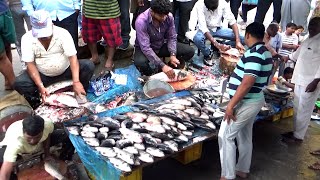 Amazing Cutting/Indian Live Fish at Market Hyderabad | Live in Fish Market 2021