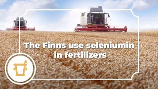 Did you know.. that the Finns use selenium in fertilizers?