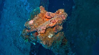 Diving Philippines - Subic Bay (Dive 1) |  LST Landing Ship Tank - Shipwreck Dive