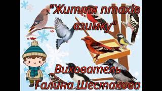 Життя птахів узимку. Вихователь Галина Шестакова, ЗДО № 57, м. Херсон