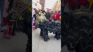 LION DANCE | playing with people | NEW YEAR PARADE BOSTON January 29, 2023