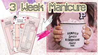 Dashing Diva | 3 Week Manicure