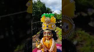 Laddu Gopal /Laddugopal Viral Video #laddugopal #viralvideo #gopalthakur