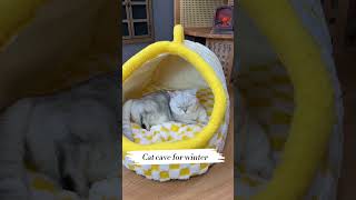 Cat cave for winter, Link is on bio or copy:www.niopets.com