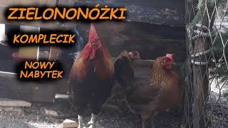 ZIELONONÓŻKI😍KOMPLET LĘGOWY NA SEZON 2021 😱