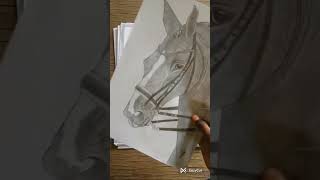 my best artworks | horse drawing | eyes drawing #shorts #ytshorts #trending #viral