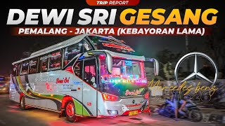 MELAJU KENCANG BERSAMA GESANG! 🔥😎 | Trip Report Dewi Sri 728 'Gesang' (Pemalang - Jakarta)