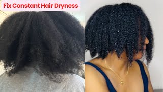 Why Your Hair ALWAYS  Feels Dry, How To Stop Dry Hair