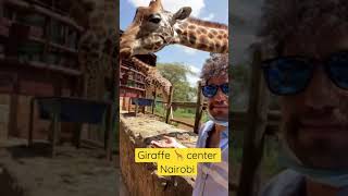 Giraffe 🦒 center Nairobi