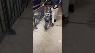 Partie 1 #chien #malinoi #dog #scooter #shortvideo