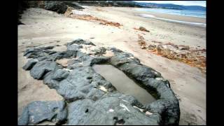 Sepultura Medieval en la Playa de Coto de Benquerencia (Barreiros - Lugo)