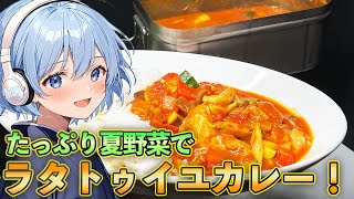 メスティン届いた！夏野菜たっぷりのラタトゥイユカレーを作ってみよう！【料理】