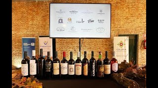 Lanzamiento de Ruta del vino de Colonia parte 1