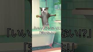 風呂上がりに人生が変わります #shorts #猫マニ #猫ミーム