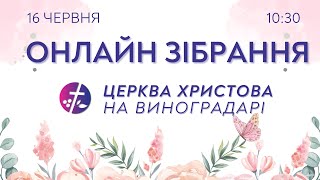 Онлайн зібрання 09.06.2024  |  Церква Христова на Виноградарі