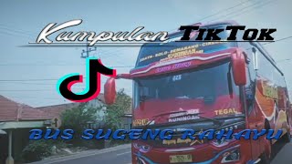 KUMPULAN TIKTOK BUS SUGENG RAHAYU