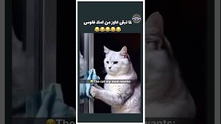 مفيش حاجه ببلاش 😂