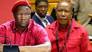 CIC Julius Malema “It is the ANC Who Started This Nonsense Of The Majority Party”