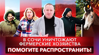 В Сочи уничтожают фермерские хозяйства. Расследование