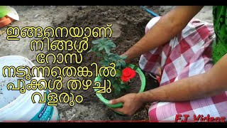 How to prepare potting mixture / എങ്ങനെ പോട്ടിങ് മിശ്രിതം ഉണ്ടാക്കാം