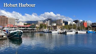 Hobart Harbour, Sandy Bay Beach, Hobart, Tasmania, Australia, 4k 60fps