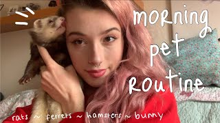 morning routine with ALL my PETS! *feeding, cleaning out, etc* 🐰💫