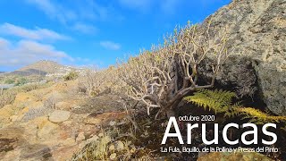 Arucas:  La Fula, Barranquillo La Pollina y Presas del Pinto (octubre 2020) #Arucas #GranCanaria