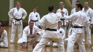 Yamaguchi-sensei demonstrates various techniques in Kihon-ippon kumite