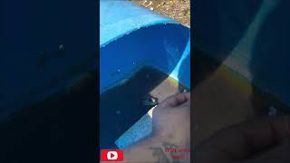 Messing with my pet ALLIGATOR I get my FINGER RIPPED OFF #viral #trending #tiktok #alligator #shorts