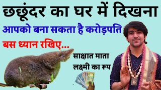 Chhachundar Ke Shubh Sanket | छछूदर के शुभ संकेत | Good Sing Of Shrew | Vastushastra | Bageshwardham