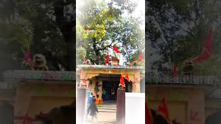 🌺🙏जय मां शीतला कोरगांव नवरात्रि video shorts video #नवरात्रि #जयमांशीतलाकोरगांव#shorts #ytshorts