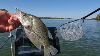 Percy Priest Lake Livescoping Crappie watch the screen