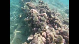 Snorkelling off the beach, Naxos,  July 2023 @Strolling Places