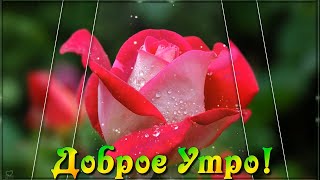 С Добрым Субботним Утром!💌 Всем, кто в сети! Радости и счастья вам с утра и до вечера!  💖🌹🌹🌹